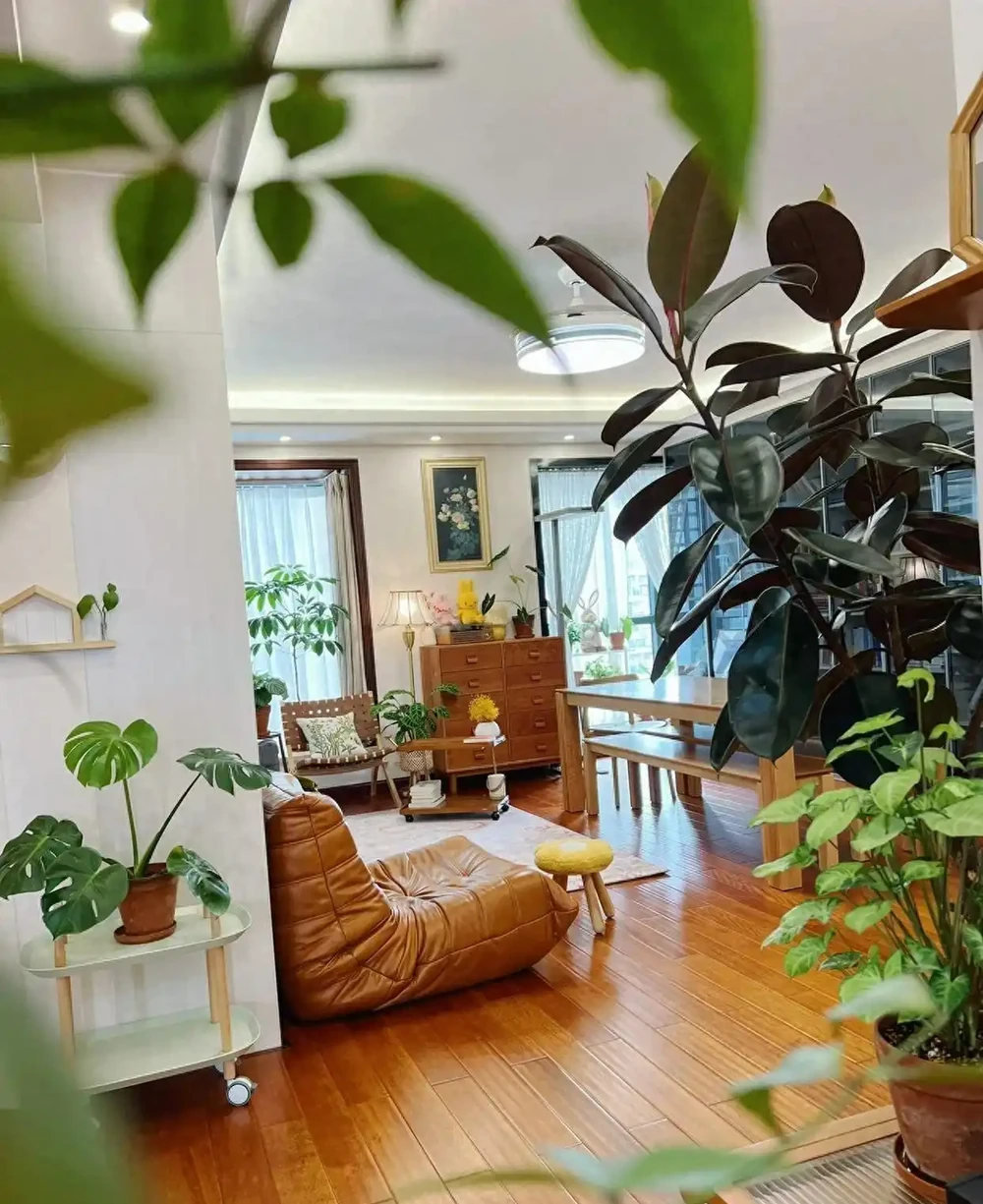 人養花，花旺人！客廳養盆大綠植，真的「有好處」