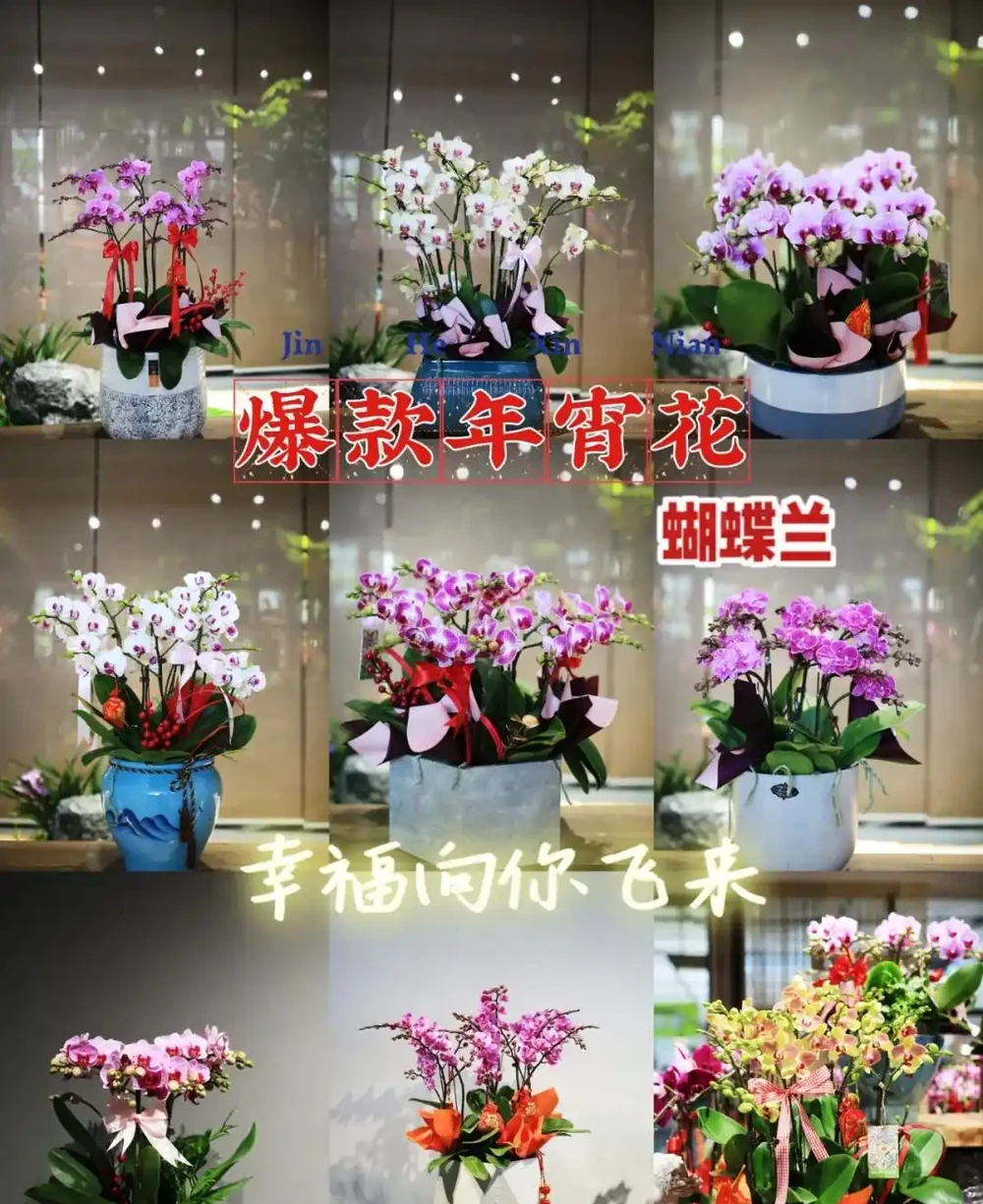 發現一位小哥哥,因「奶油風」家居而走紅,網友:缺不缺女主人