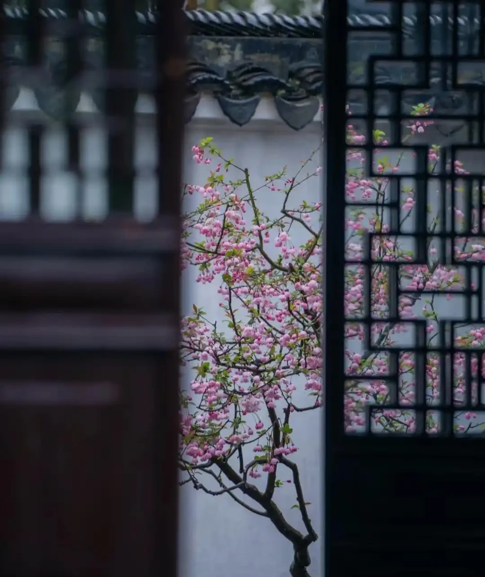 因「開花太夢幻」走紅的10種樹,詩畫意境十足,太驚豔了