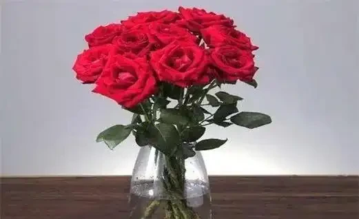 玫瑰花直接插水裡行嗎
