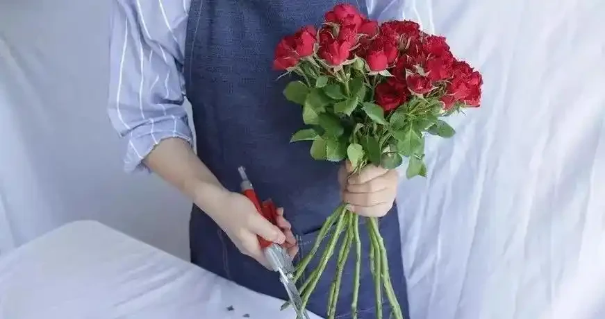 玫瑰花直接插水裡行嗎