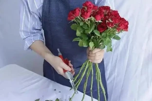 玫瑰花直接插水裡行嗎