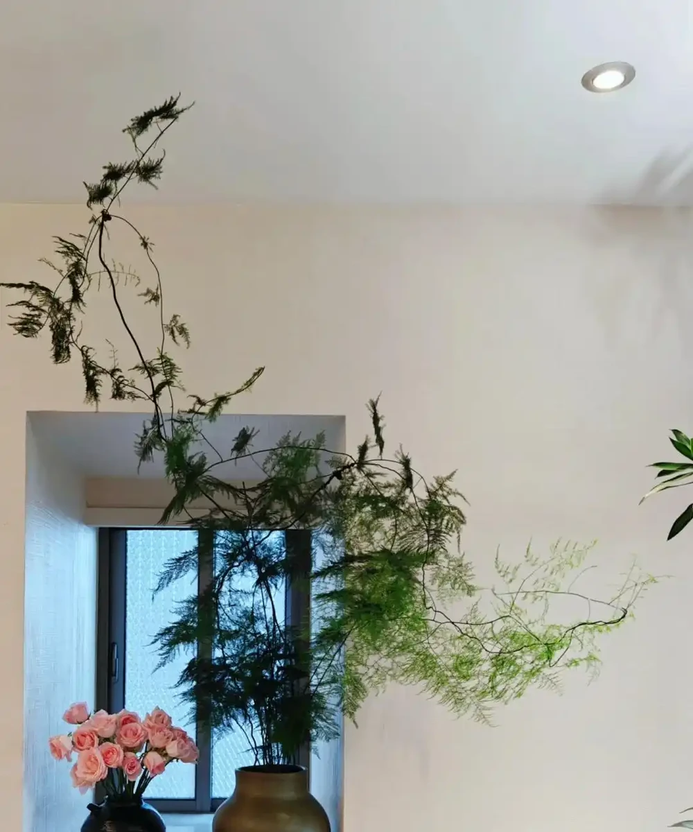 15種旺宅又旺家的綠植,養再多都不夠