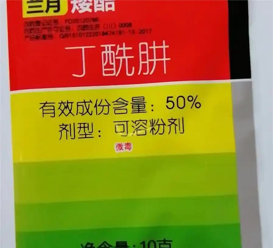 收到菊花苗後?菊花苗怎麼種植、澆水、馴化復原、控高、養護?