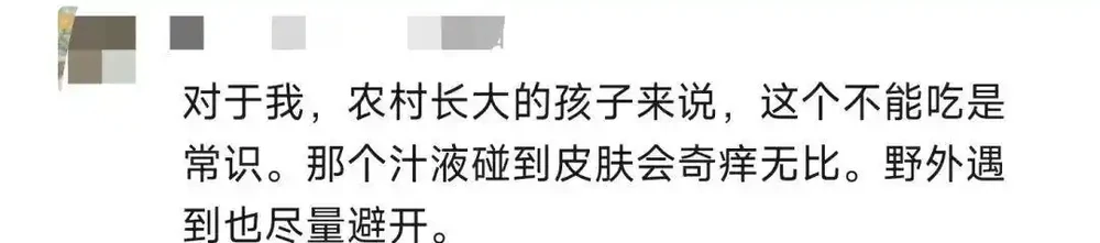 吃了一口舌頭爛了!這東西千萬別摘別吃,街頭很常見