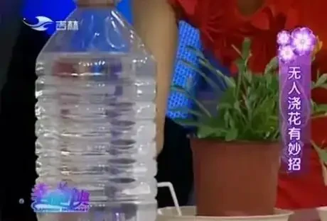 外出家中沒人澆水?教你這4招,讓你放心出門,還能確保花草水分
