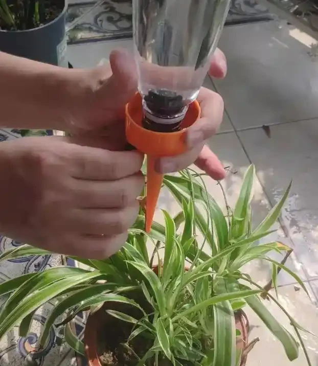 外出家中沒人澆水?教你這4招,讓你放心出門,還能確保花草水分