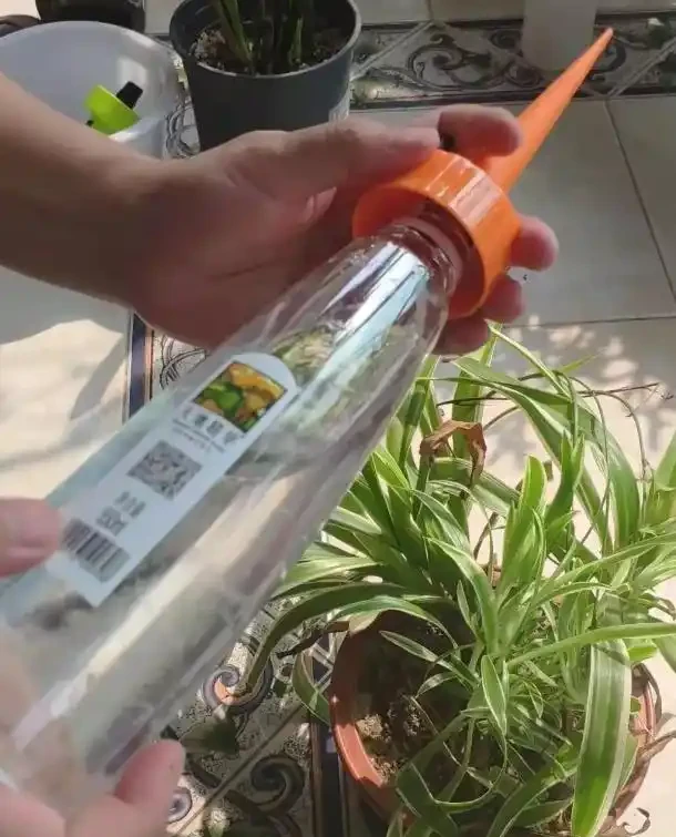 外出家中沒人澆水?教你這4招,讓你放心出門,還能確保花草水分