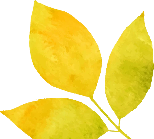 吃一口舌頭爛了!這種高仿「芋頭」,千萬別摘別吃!