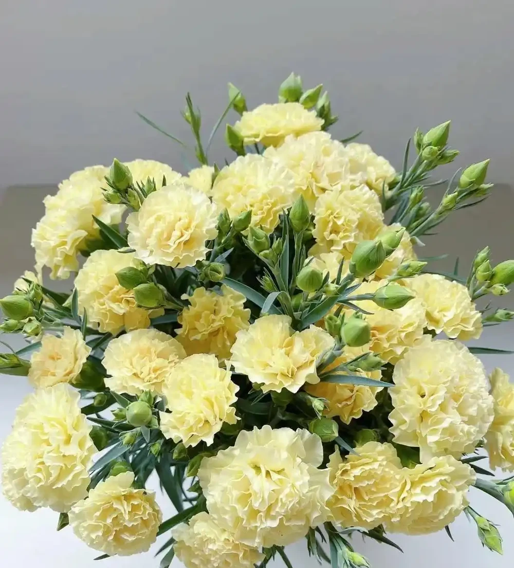 沒有不愛的花