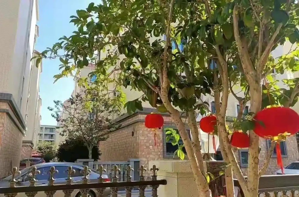 十大「富貴樹」,庭院種一棵,美觀大氣,吉利旺宅