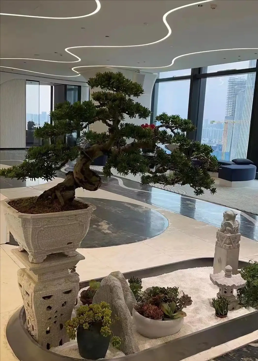 十大「富貴樹」,庭院種一棵,美觀大氣,吉利旺宅