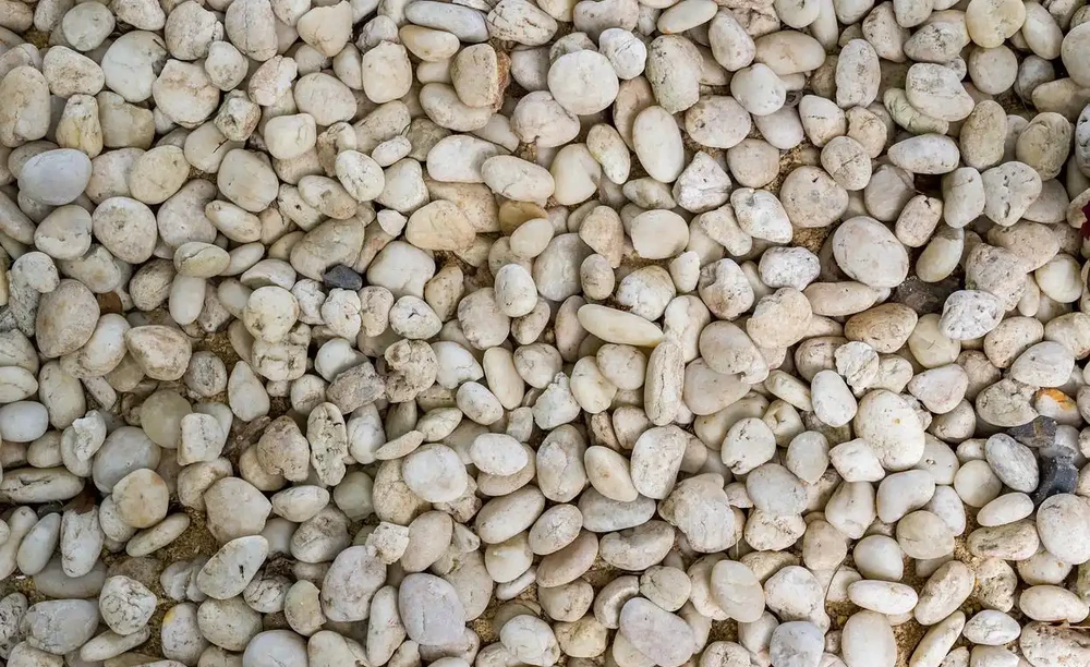 盆栽墊底鋪面介質,優缺點大揭秘