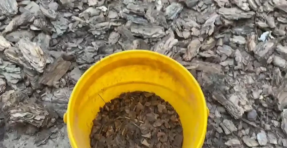 盆栽墊底鋪面介質,優缺點大揭秘