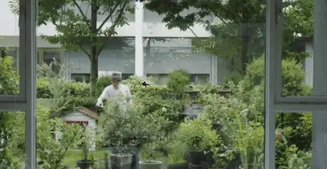 院子再小，也要種下的8種樹，老祖宗留下的「順口溜」，句句智慧