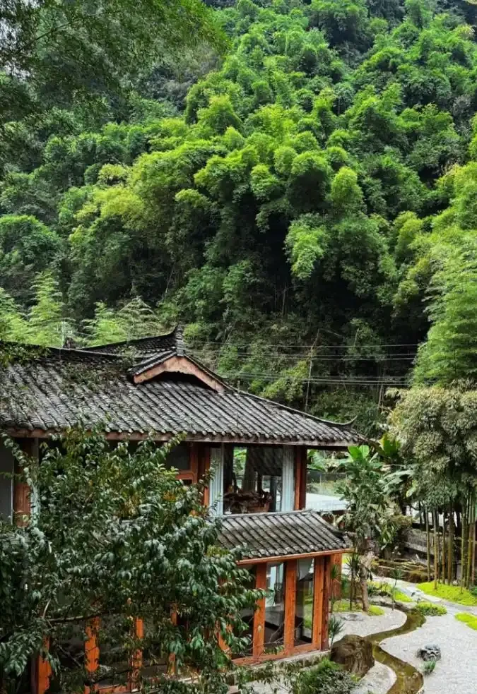 院子再小，也要種下的8種樹，老祖宗留下的「順口溜」，句句智慧