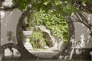 院子再小，也要種下的8種樹，老祖宗留下的「順口溜」，句句智慧