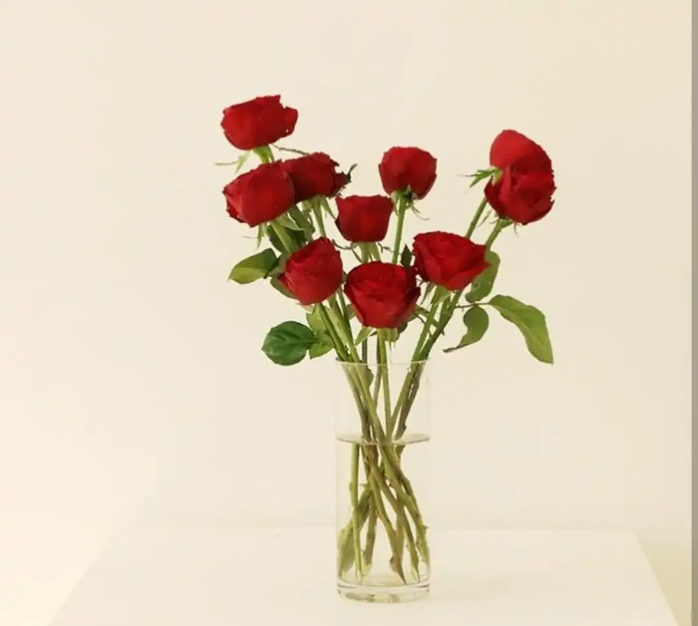 什麼鮮花開花期長一些適合插水瓶裡