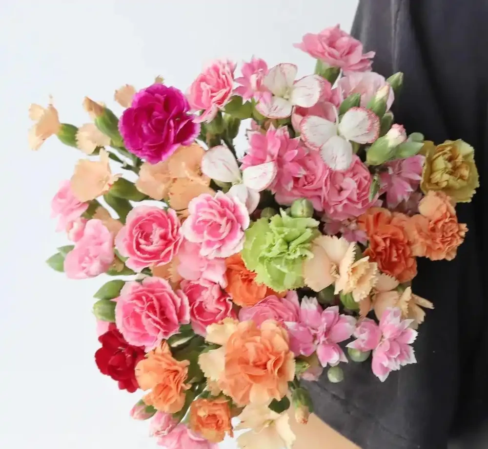 什麼鮮花開花期長一些適合插水瓶裡