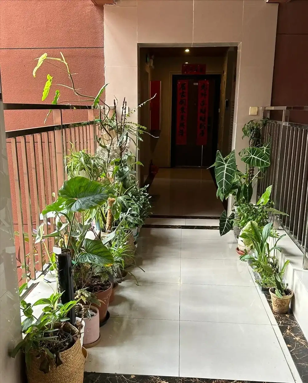 不管房子有多大，5個地方都不要養花，否則「花旺人不旺」