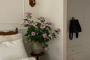 不管房子有多大，5個地方都不要養花，否則「花旺人不旺」