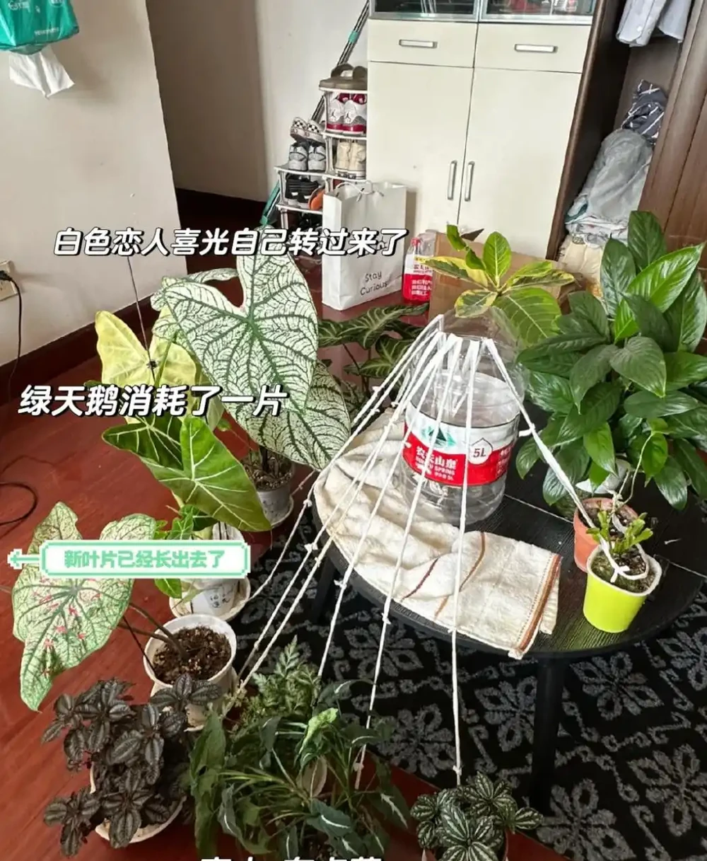 被這些出門旅遊的「自制神器」驚豔了,簡直太實用了