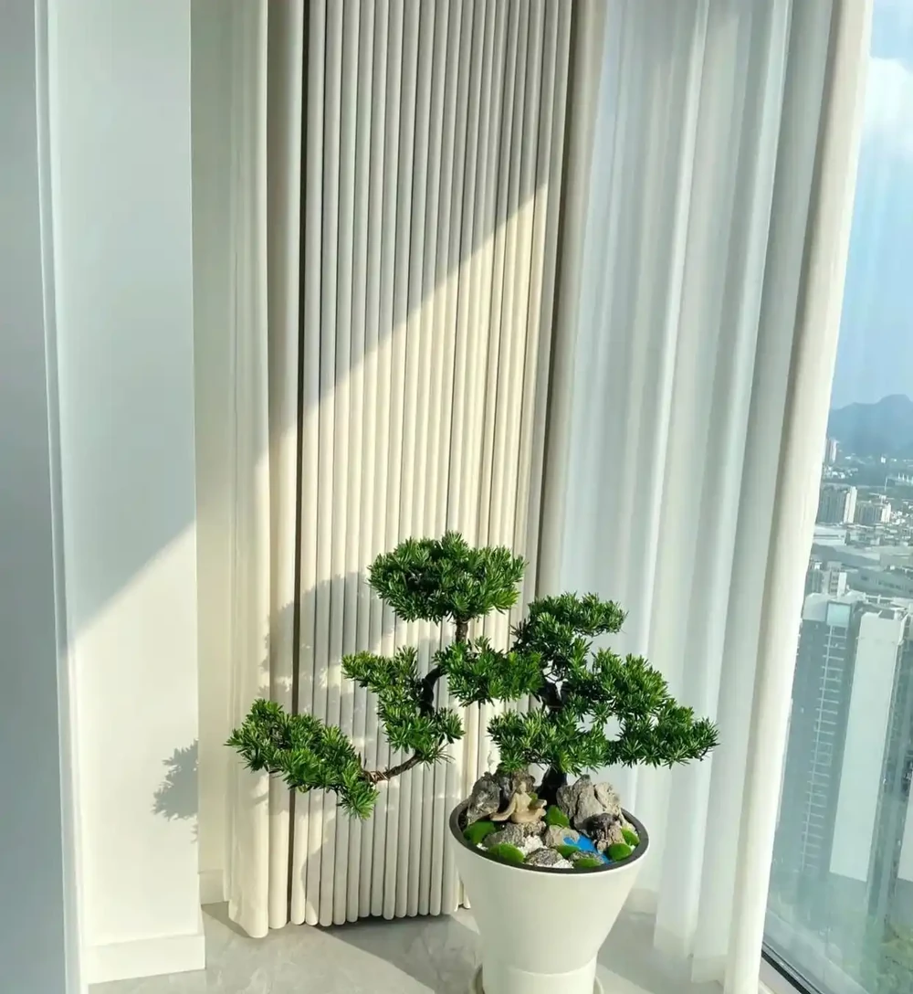 種花不如種樹，6種名貴樹，好養又好看，種上1棵都能當「傳家寶」