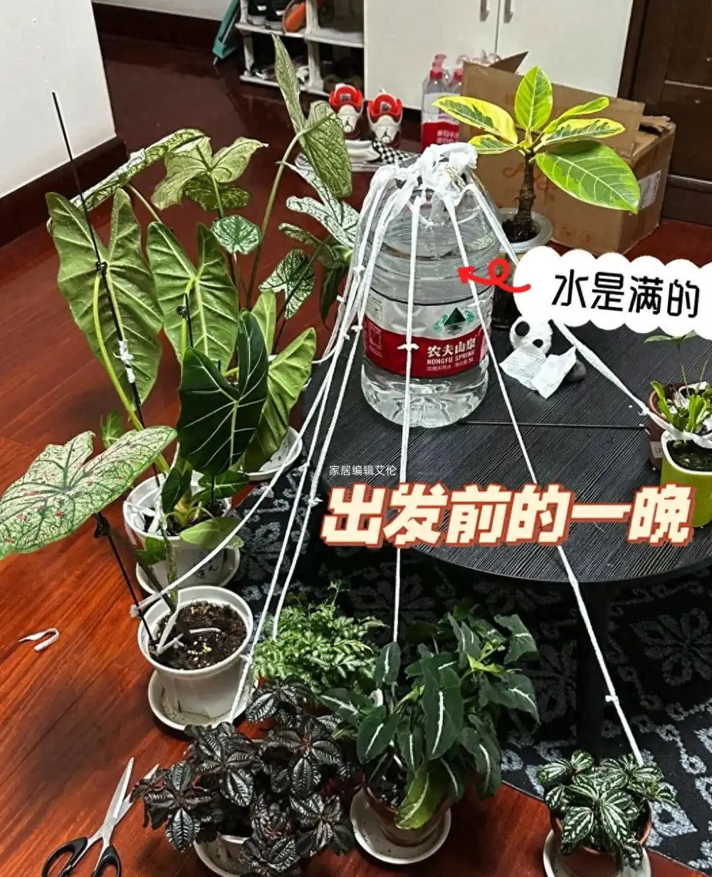 被這些出門旅遊的「自制神器」驚豔了,簡直太實用了