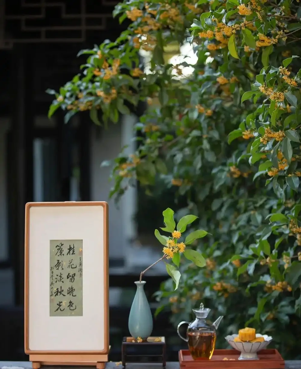 小院再小也要種這9種樹，老祖宗留下的「順口溜」，寓意深遠