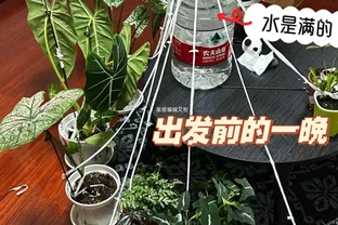 被這些出門旅遊的「自制神器」驚豔了，簡直太實用了
