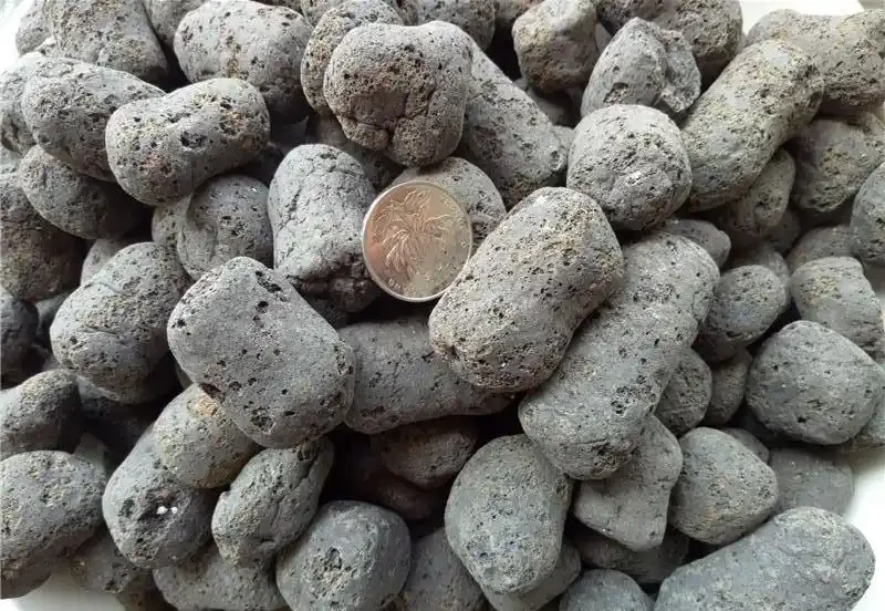 多肉植物花盆底部墊什麼好?放上這種石頭,幾年都不腐根