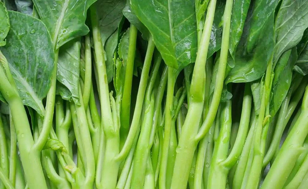 空心菜用什麼肥料才嫩,有哪些施肥技巧?