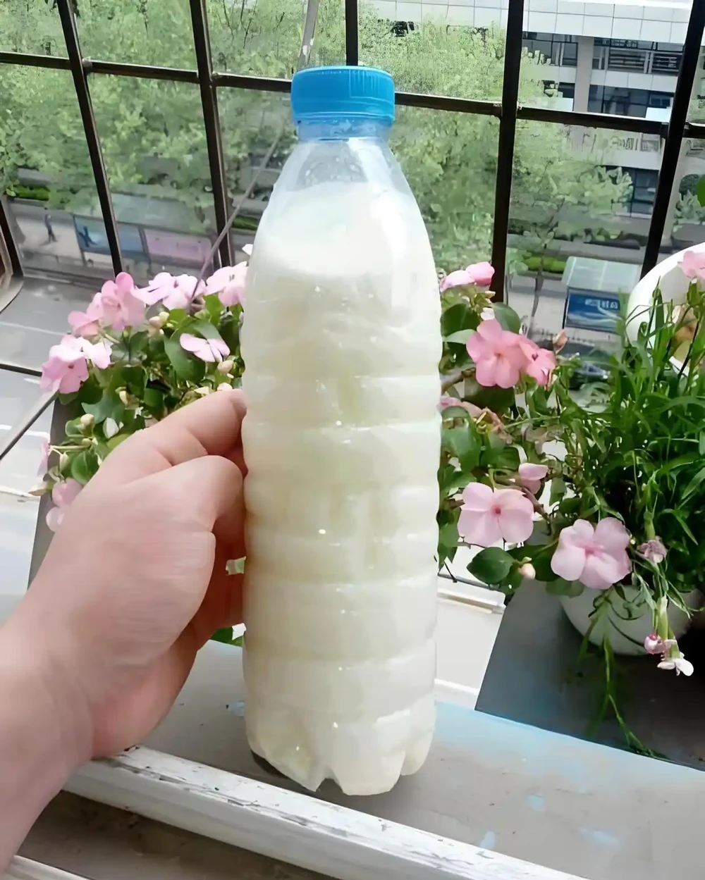 植物營養液,有哪些自制方法和技巧?
