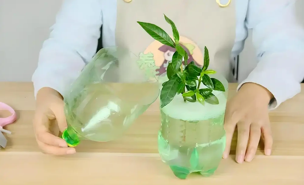 植物營養液,有哪些自制方法和技巧?