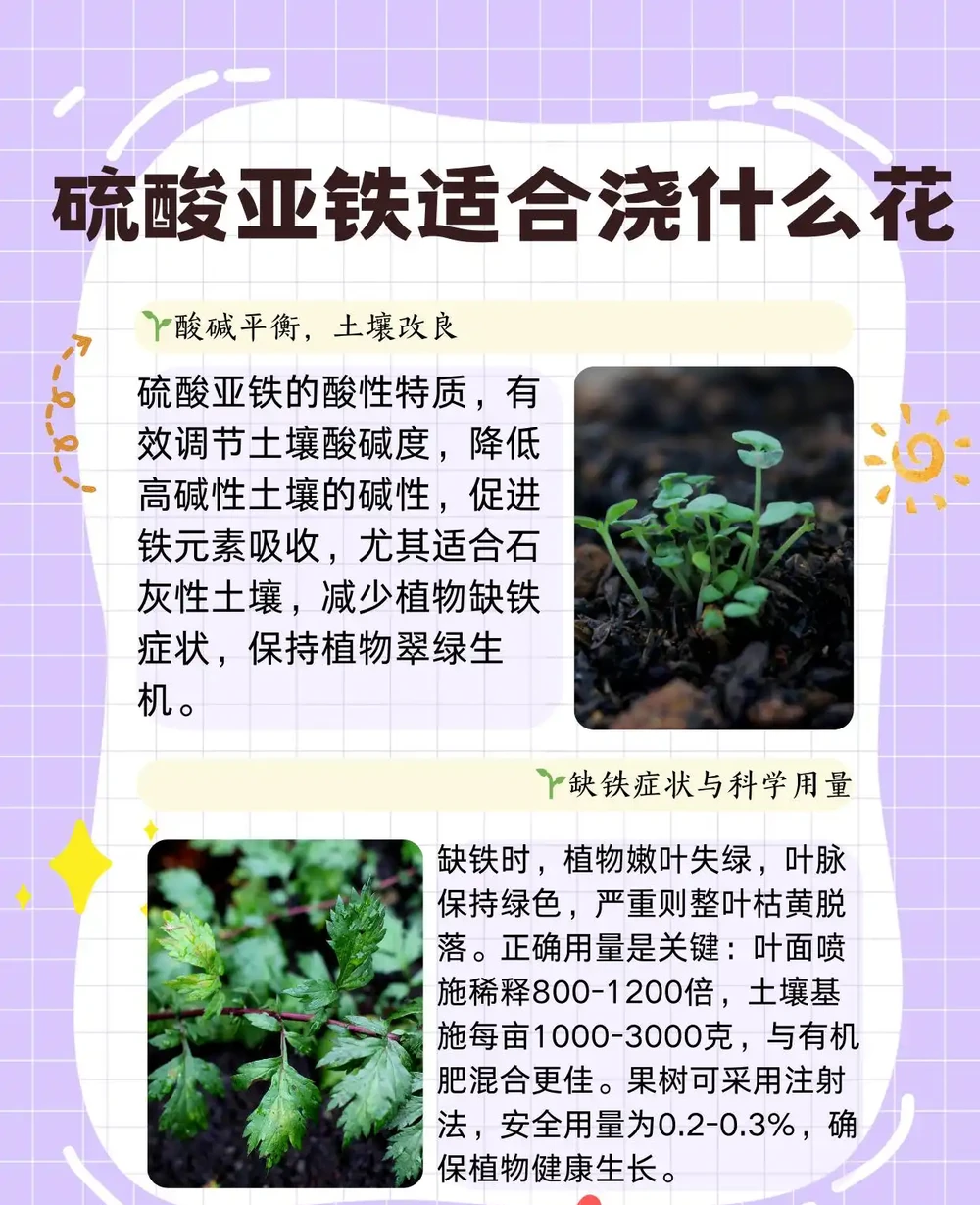 硫酸亞鐵適合澆什麼花
