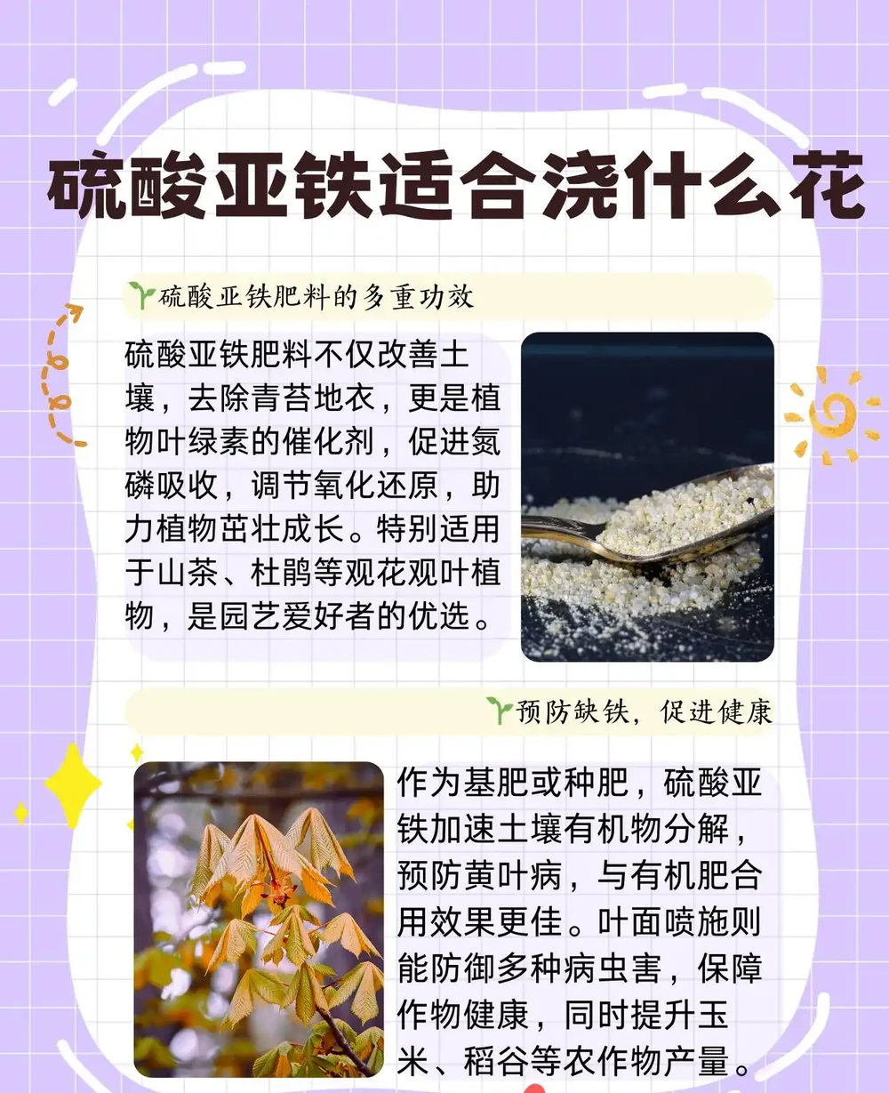 硫酸亞鐵適合澆什麼花