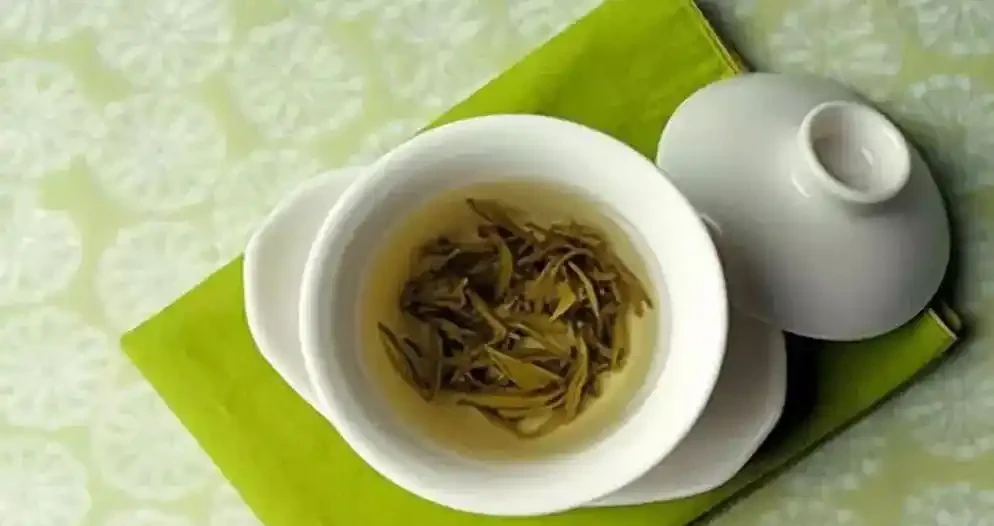 家庭養花能用淘米水、茶葉水、啤酒等澆花嗎？怎麼去做？