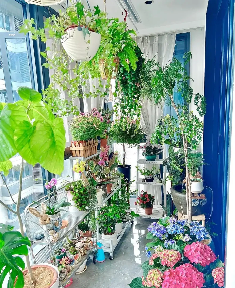 家有九花,十有九發!你知道是指「哪9種吉利的漂亮花」嗎?