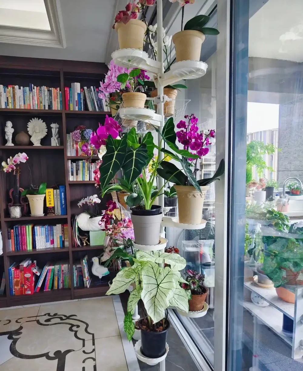 家有九花,十有九發!你知道是指「哪9種吉利的漂亮花」嗎?