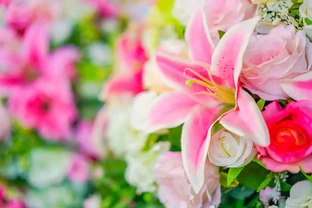 鮮花儲存的6個最好方法，0成本鮮花養護攻略，讓鮮花儲存更長久