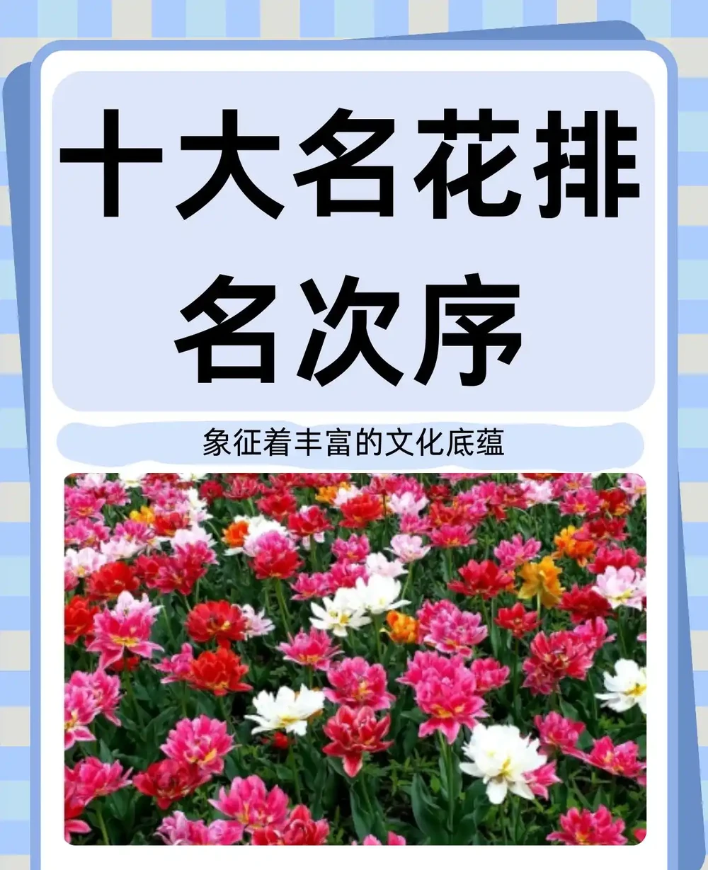 十大名花排名次序