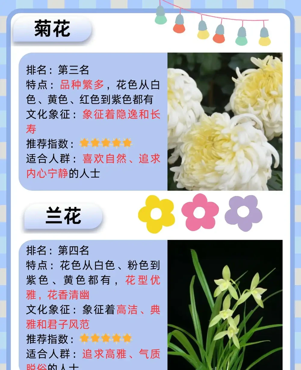 十大名花排名次序