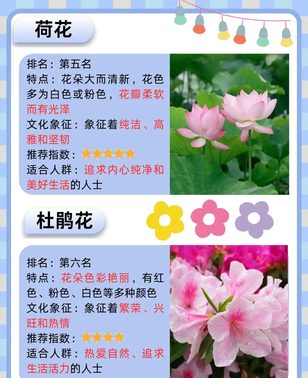 十大名花排名次序