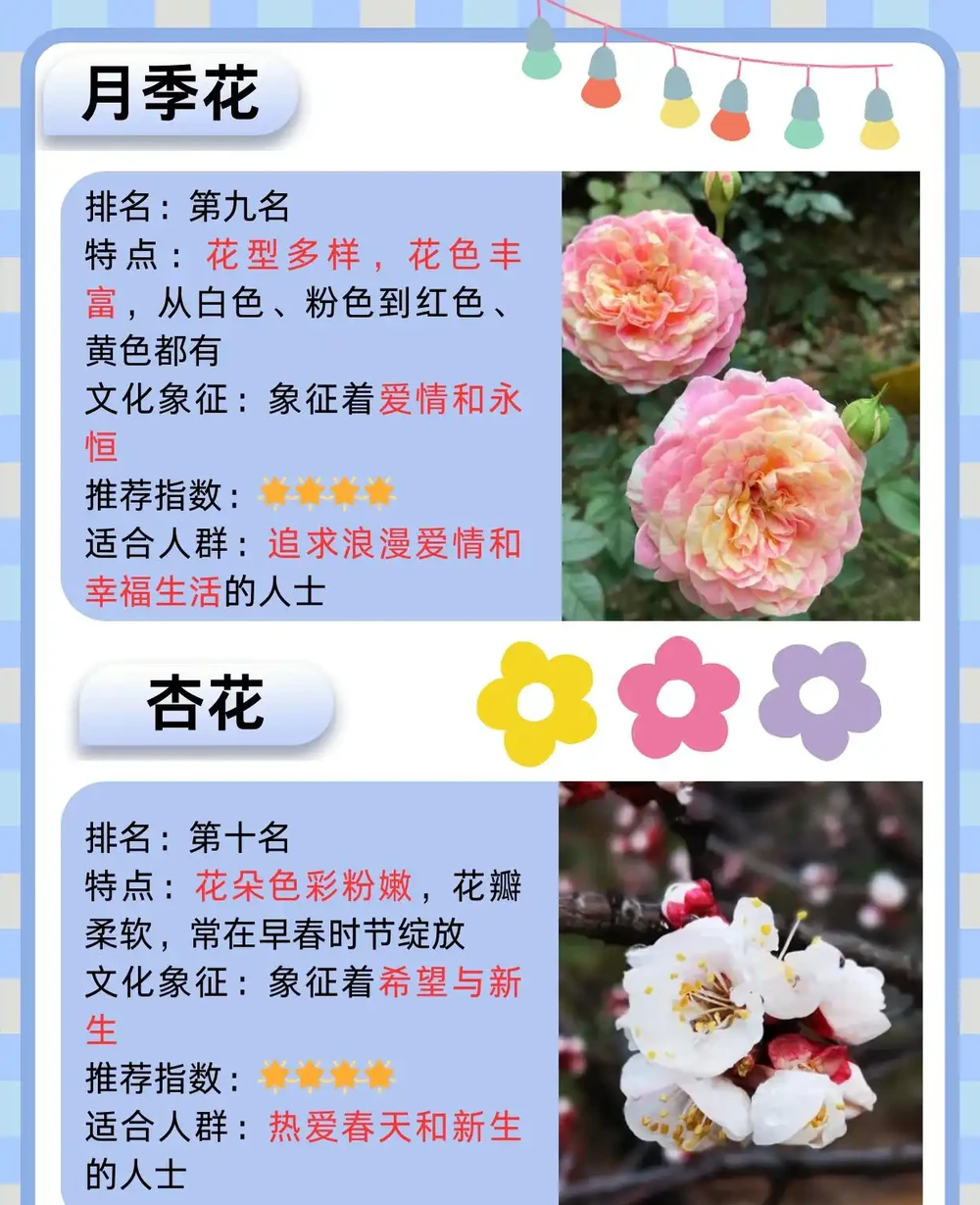 十大名花排名次序