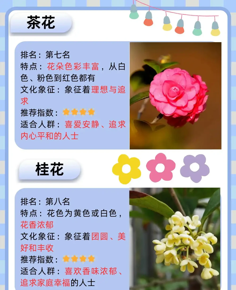 十大名花排名次序