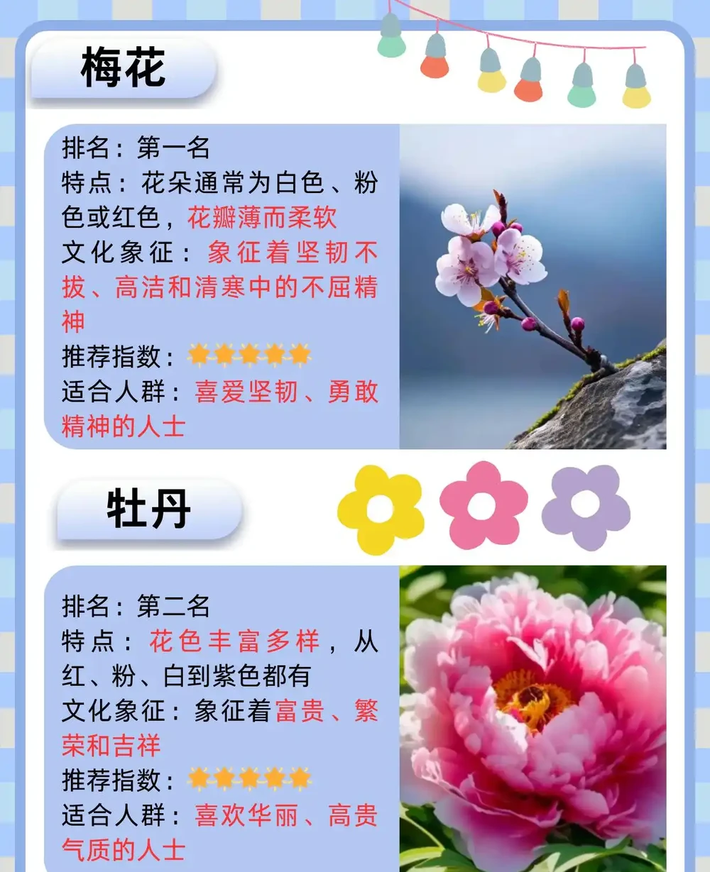 十大名花排名次序