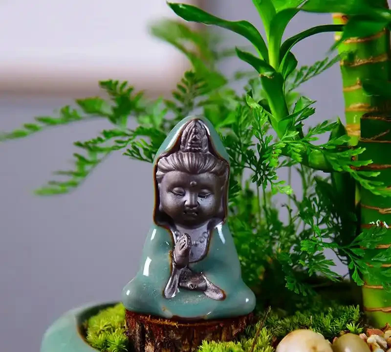 客廳綠植排名前十名