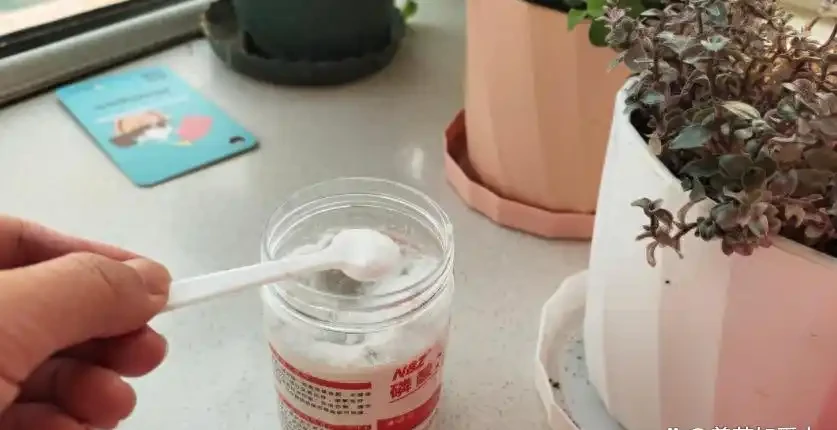 花多多2號和磷酸二氫鉀,哪種催花效果更佳?聽聽老花農的建議