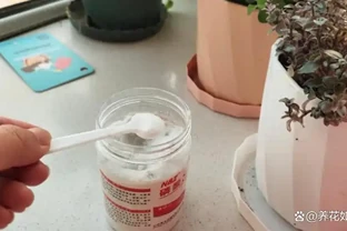 花多多2號和磷酸二氫鉀，哪種催花效果更佳？聽聽老花農的建議