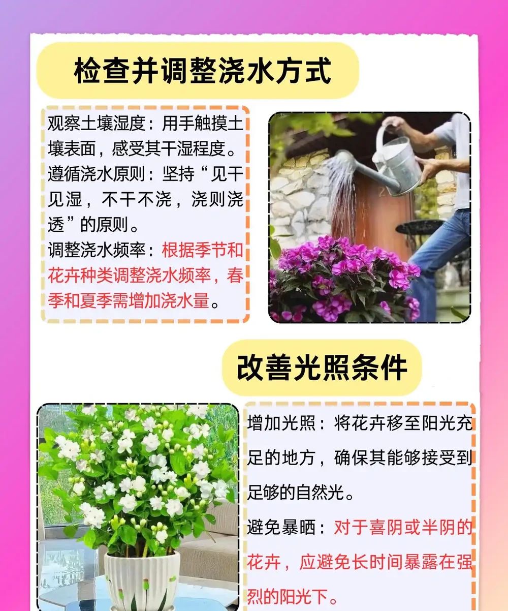 花葉子發黃乾枯怎麼治